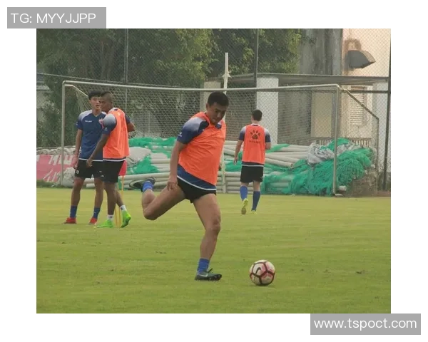 深圳排球队逆袭之路的真实记录与奋斗精神的展现